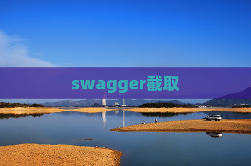 swagger截取